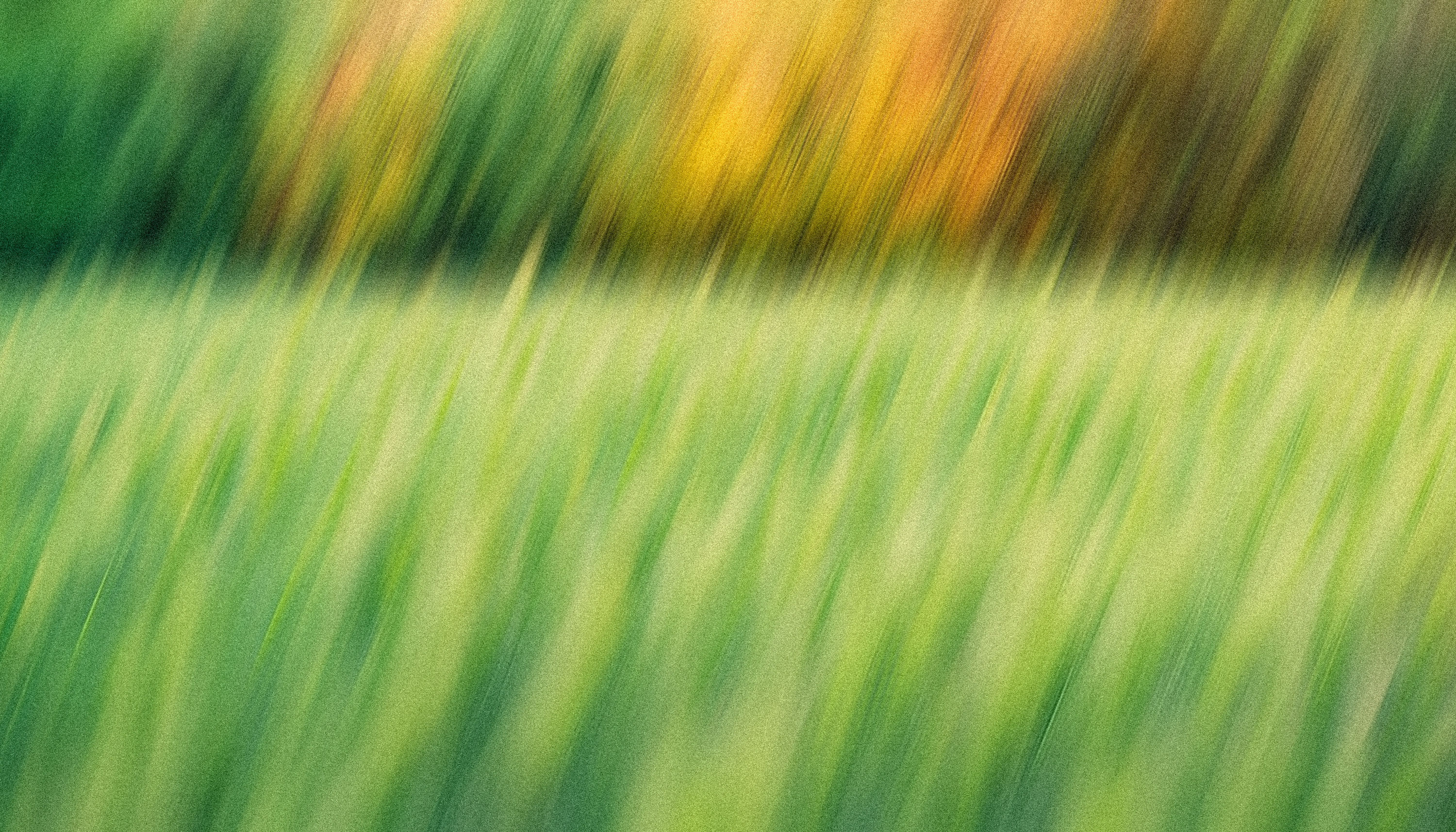 Green abstract background
